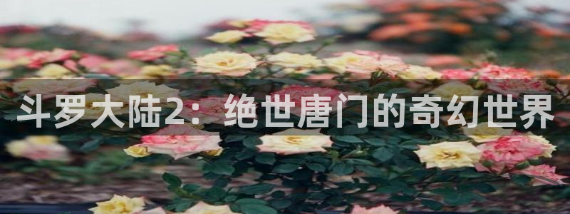 羞羞漫画新网址