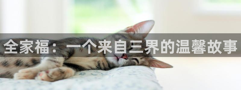 羞羞漫画免费阅读软件
